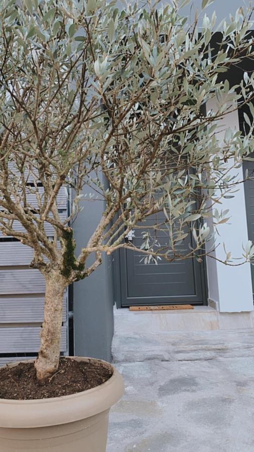 My Home Yanya Dış mekan fotoğraf